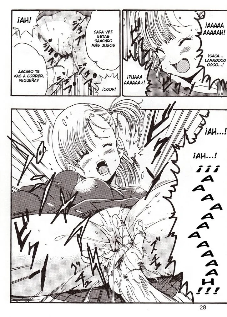 Dragon Ball EB Hentai 026