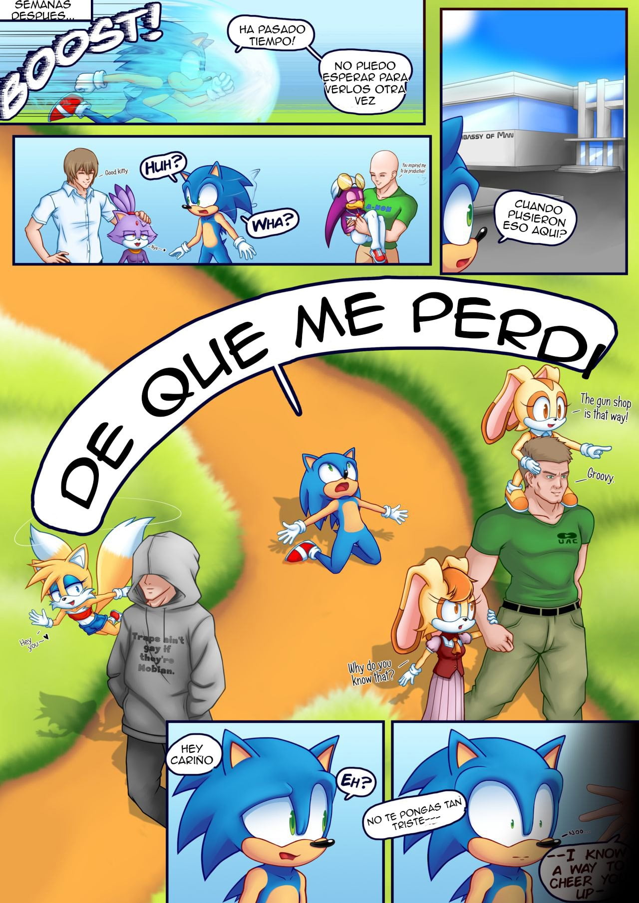 Sally in Season Sonic Hentai 28